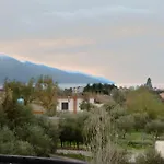 Oasis