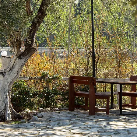 Oasis