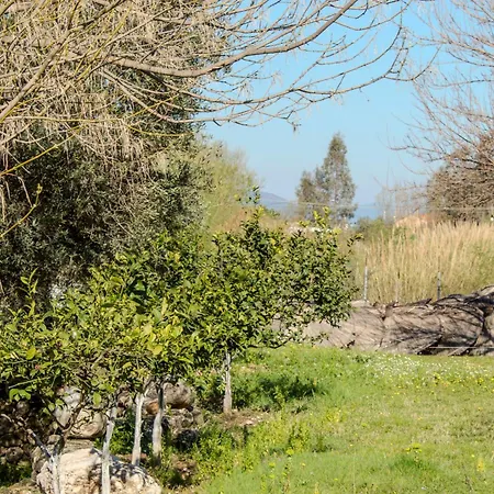 Oasis