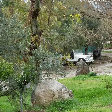 מלון Oasis אוריקום