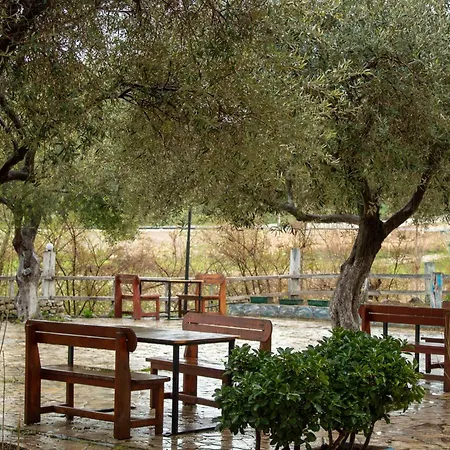 Oasis מלון *