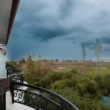Oasis אוריקום