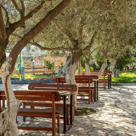 Hotel Oasis *